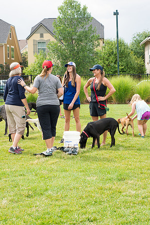 Dog Daze | Stapleton MCA