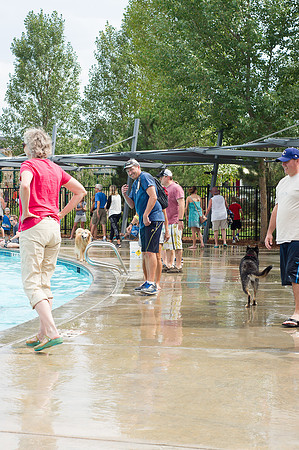 Dog Daze | Stapleton MCA