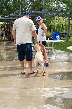 Dog Daze | Stapleton MCA