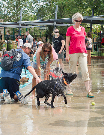 Dog Daze | Stapleton MCA