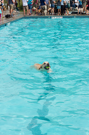 Dog Daze | Stapleton MCA