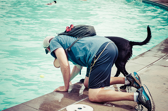 Dog Daze | Stapleton MCA