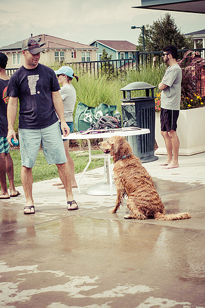 Dog Daze | Stapleton MCA