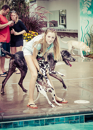 Dog Daze | Stapleton MCA