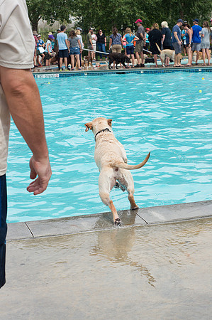 Dog Daze | Stapleton MCA
