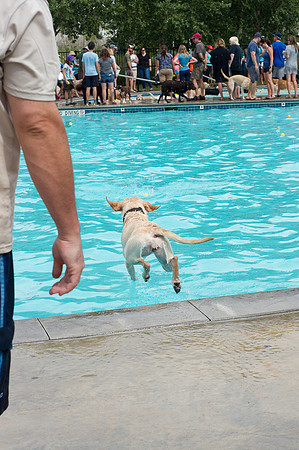 Dog Daze | Stapleton MCA