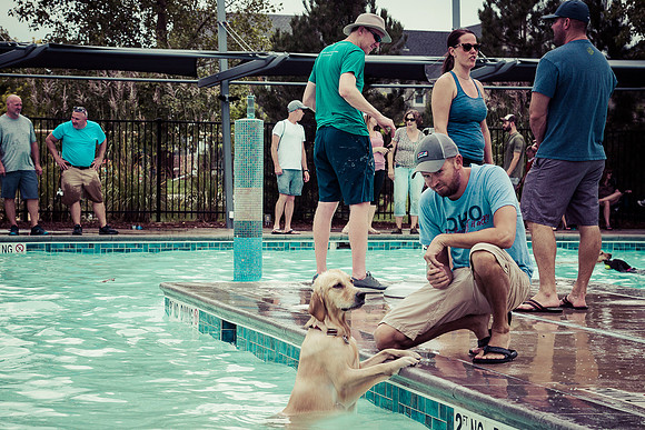 Dog Daze | Stapleton MCA