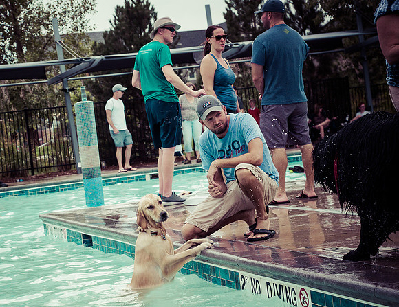 Dog Daze | Stapleton MCA