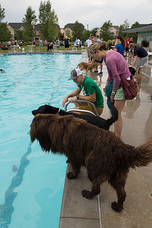 Dog Daze | Stapleton MCA