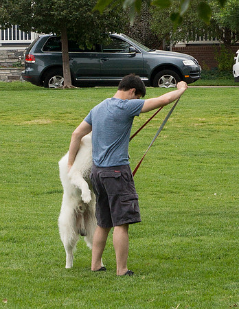 Dog Daze | Stapleton MCA