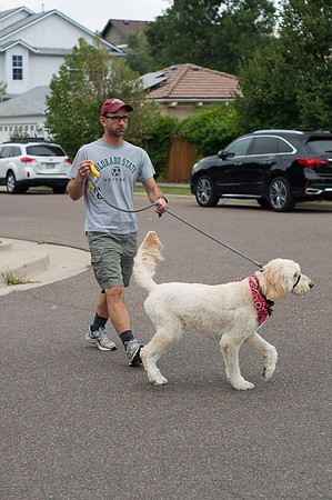 Dog Daze | Stapleton MCA
