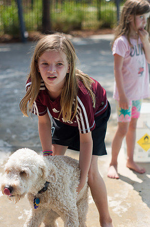 Dog Daze | Stapleton MCA