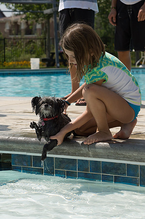 Dog Daze | Stapleton MCA