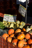 Farmer's Market-Pumpkin Patch