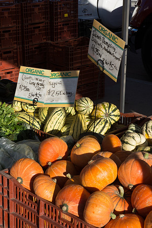 Farmer's Market-Pumpkin Patch