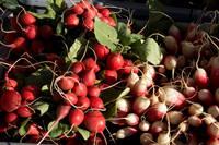 Farmer's Market-Pumpkin Patch