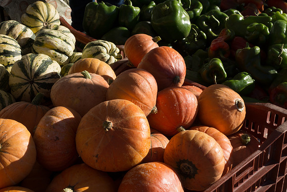 Farmer's Market-Pumpkin Patch