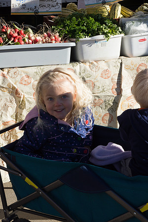 Farmer's Market-Pumpkin Patch