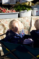 Farmer's Market-Pumpkin Patch
