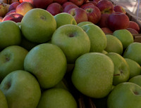 Farmer's Market-Pumpkin Patch