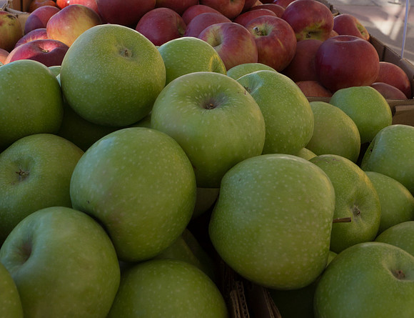 Farmer's Market-Pumpkin Patch