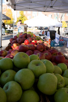 Farmer's Market-Pumpkin Patch