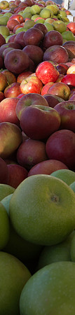 Farmer's Market-Pumpkin Patch