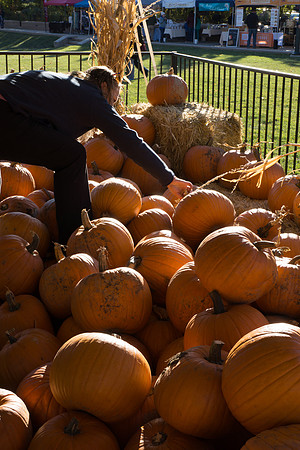 Farmer's Market-Pumpkin Patch