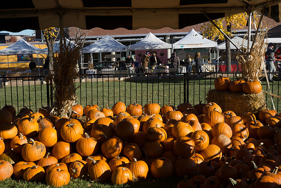 Farmer's Market-Pumpkin Patch