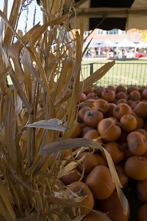 Farmer's Market-Pumpkin Patch