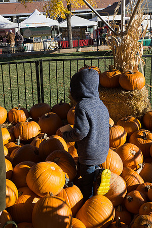 Farmer's Market-Pumpkin Patch