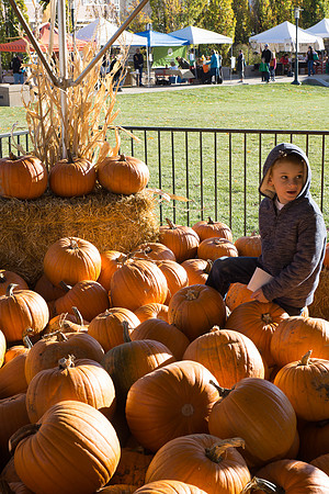 Farmer's Market-Pumpkin Patch