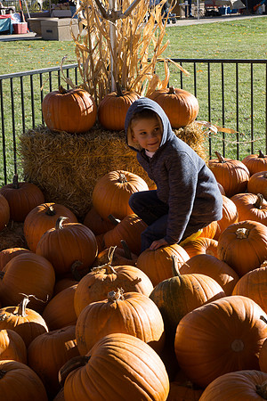 Farmer's Market-Pumpkin Patch
