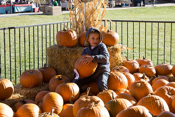 Farmer's Market-Pumpkin Patch