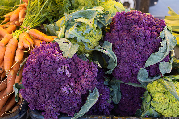 Farmer's Market-Pumpkin Patch