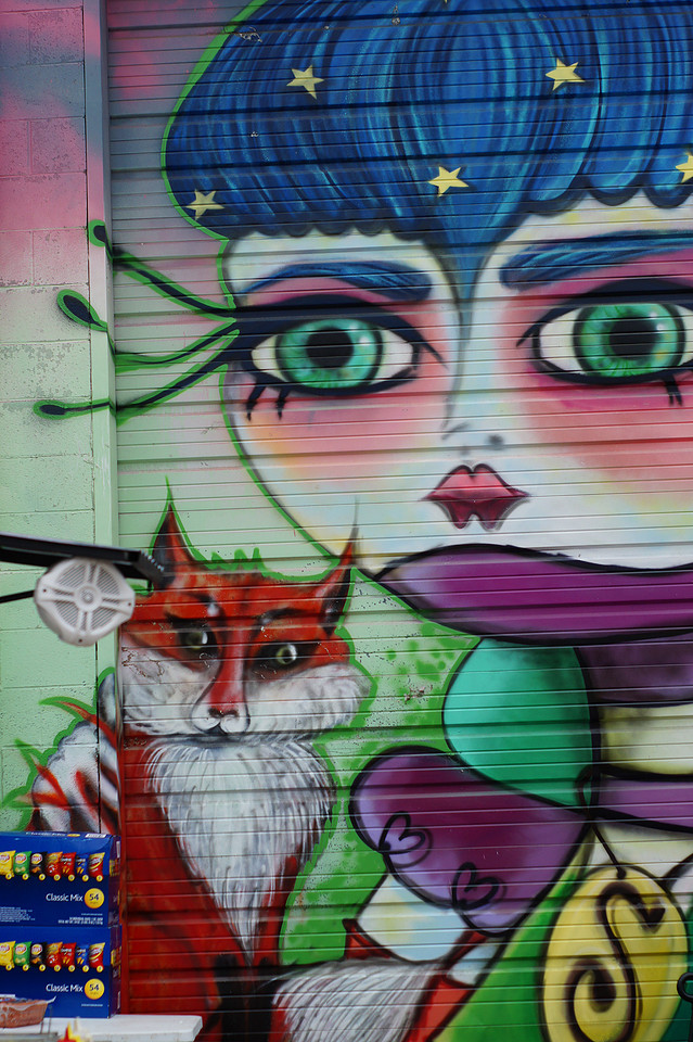 Denver Punk Rock Flea Market's ODDITIES & CURIOSITIES EXPO