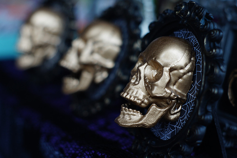 Denver Punk Rock Flea Market's ODDITIES & CURIOSITIES EXPO