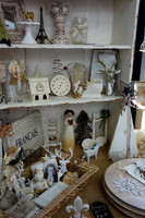 SWEET WILLIAM MARKET | STAPLETON MCA