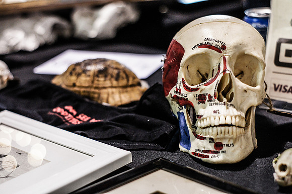 DENVER PUNK ROCK FLEA MARKET HOLIDAY EDITION