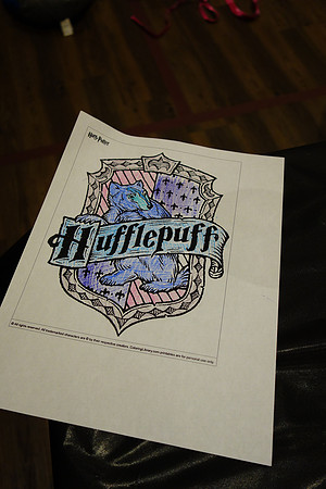 HARRY POTTER LOCK-IN