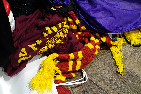 HARRY POTTER LOCK-IN