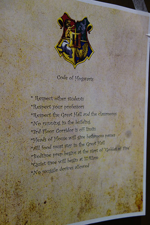 HARRY POTTER LOCK-IN