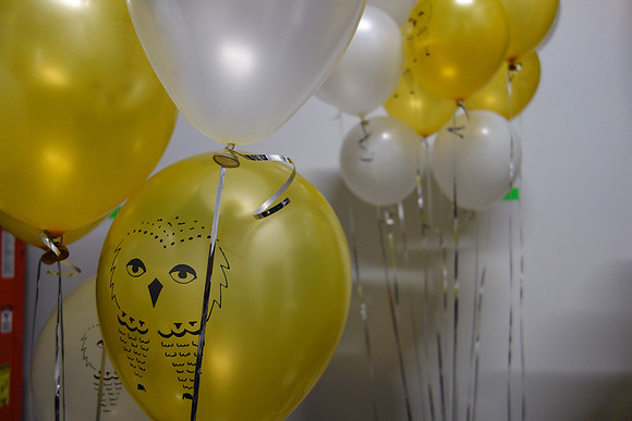 HARRY POTTER LOCK-IN