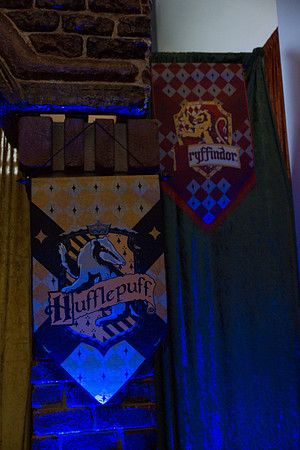 HARRY POTTER LOCK-IN