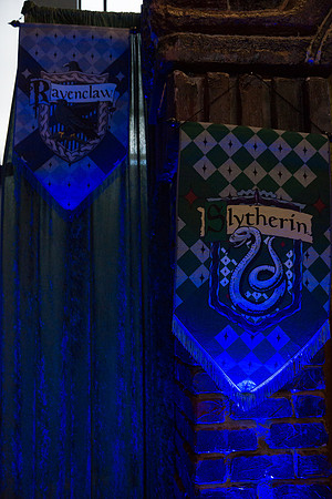 HARRY POTTER LOCK-IN
