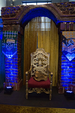HARRY POTTER LOCK-IN