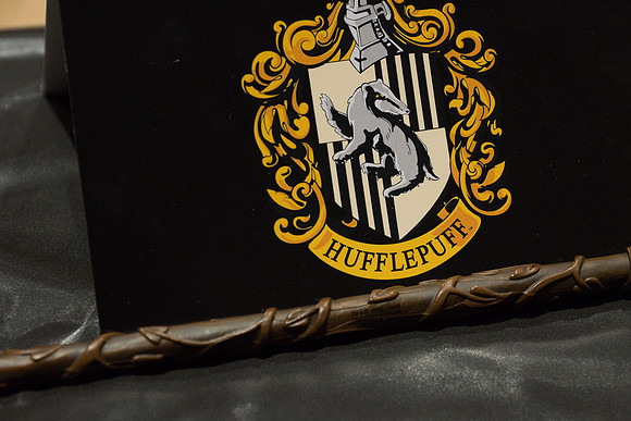 HARRY POTTER LOCK-IN