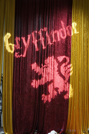HARRY POTTER LOCK-IN