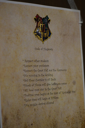 HARRY POTTER LOCK-IN