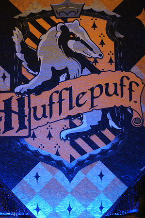 HARRY POTTER LOCK-IN